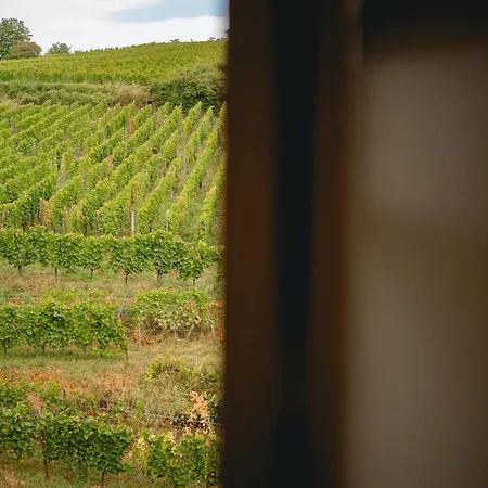 Maison Rebleuthof Sauna & Fitness Appartement *