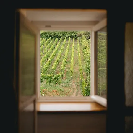 Maison Rebleuthof Sauna & Fitness アパート リクヴィール